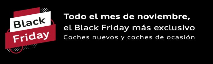 Black Friday SEAT Bizkaia